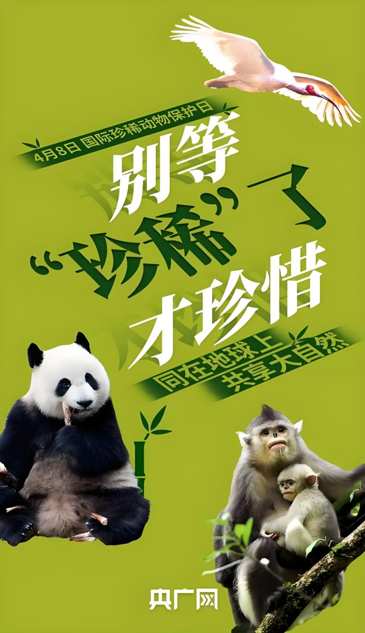 科幻剧《星际迷途》